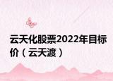 云天化股票2022年目标价（云天渡）