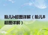 胎儿b超图详解（胎儿B超图详解）