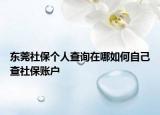 东莞社保个人查询在哪如何自己查社保账户