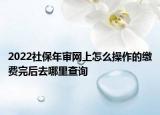 2022社保年审网上怎么操作的缴费完后去哪里查询