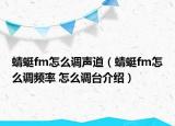 蜻蜓fm怎么调声道（蜻蜓fm怎么调频率 怎么调台介绍）