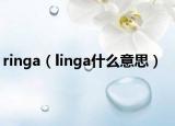 ringa（linga什么意思）