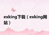 exking下载（exking网站）