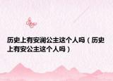历史上有安澜公主这个人吗（历史上有安公主这个人吗）