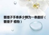 菩提子手串多少颗为一串最好（菩提子 植物）