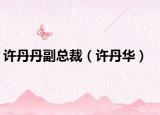 许丹丹副总裁（许丹华）