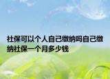 社保可以个人自己缴纳吗自己缴纳社保一个月多少钱