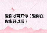 爱你才离开你（爱你在你离开以后）