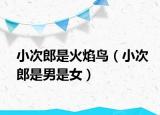 小次郎是火焰鸟（小次郎是男是女）