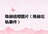 陈赫结婚图片（陈赫出轨事件）