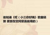 谁知道《哎（小三你好贱》歌曲链接 要放在空间里面能用的）