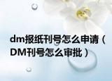 dm报纸刊号怎么申请（DM刊号怎么审批）