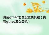 真我gtneo怎么设置关机键（真我gtneo怎么关机）