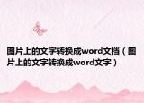 图片上的文字转换成word文档（图片上的文字转换成word文字）