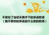 不要忘了当初天真许下的承诺歌词（我不要你的承诺是什么歌的歌词）