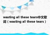 wasting all these tears中文歌词（wasting all these tears）