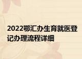 2022鄂汇办生育就医登记办理流程详细