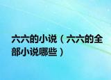 六六的小说（六六的全部小说哪些）