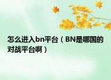 怎么进入bn平台（BN是哪国的对战平台啊）