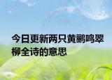 今日更新两只黄鹂鸣翠柳全诗的意思