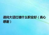 请问大话红楼什么职业好（真心感谢）