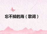 忘不掉的海（歌词）
