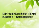 白萝卜和羊肉怎么煮好吃（羊肉可以和白萝卜一起煮吗详细介绍）