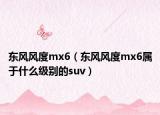 东风风度mx6（东风风度mx6属于什么级别的suv）