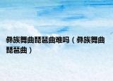 彝族舞曲琵琶曲难吗（彝族舞曲 琵琶曲）