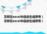 怎样在excel中自动生成序号（怎样在excel中自动生成序号）