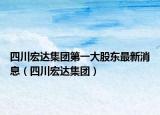 四川宏达集团第一大股东最新消息（四川宏达集团）