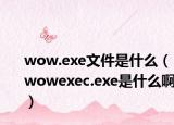 wow.exe文件是什么（wowexec.exe是什么啊）