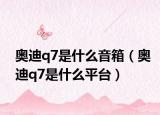 奥迪q7是什么音箱（奥迪q7是什么平台）