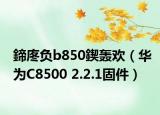 鍗庝负b850鍥轰欢（华为C8500 2.2.1固件）