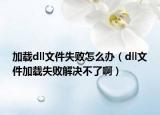 加载dll文件失败怎么办（dll文件加载失败解决不了啊）