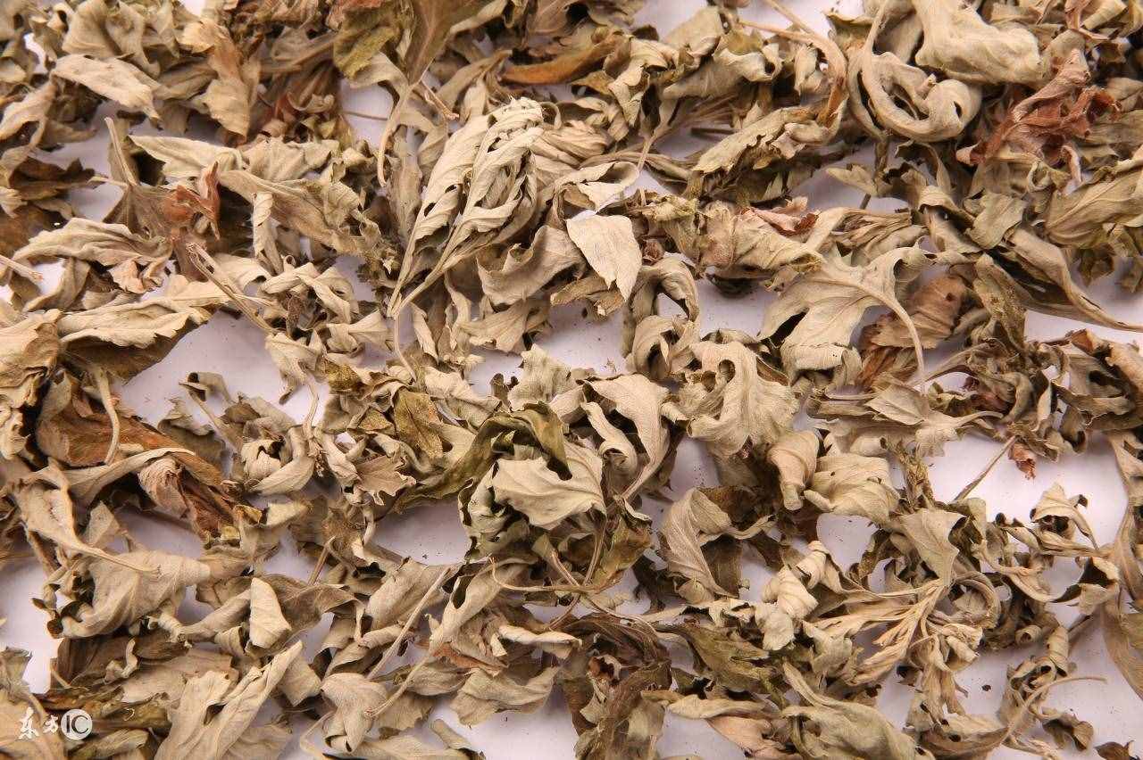 艾叶可以治妇科病 也要防止副作用
