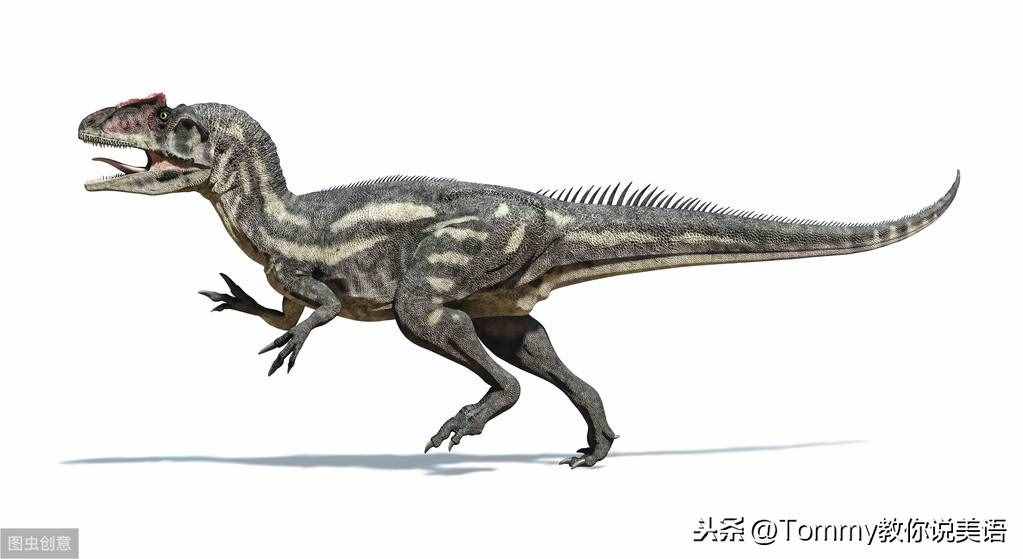 15秒记一个单词（第2079个）dinosaur