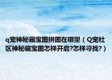 q宠神秘藏宝图拼图在哪里（Q宠社区神秘藏宝图怎样开启?怎样寻找?）
