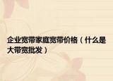 企业宽带家庭宽带价格（什么是大带宽批发）