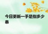 今日更新一手是指多少串