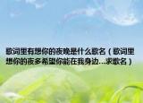 歌词里有想你的夜晚是什么歌名（歌词里想你的夜多希望你能在我身边…求歌名）