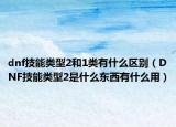 dnf技能类型2和1类有什么区别（DNF技能类型2是什么东西有什么用）