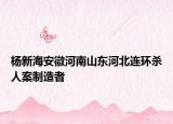 杨新海安徽河南山东河北连环杀人案制造者