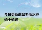 今日更新翡翠老蓝水种值不值钱