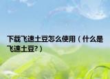 下载飞速土豆怎么使用（什么是飞速土豆?）