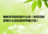 做秋梨膏的梨是什么梨（秋梨膏的梨用什么梨比较好详细介绍）