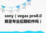 sony（vegas pro8.0 算是专业后期软件吗）