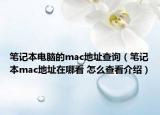 笔记本电脑的mac地址查询（笔记本mac地址在哪看 怎么查看介绍）