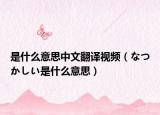 是什么意思中文翻译视频（なつかしい是什么意思）
