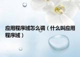 应用程序域怎么调（什么叫应用程序域）